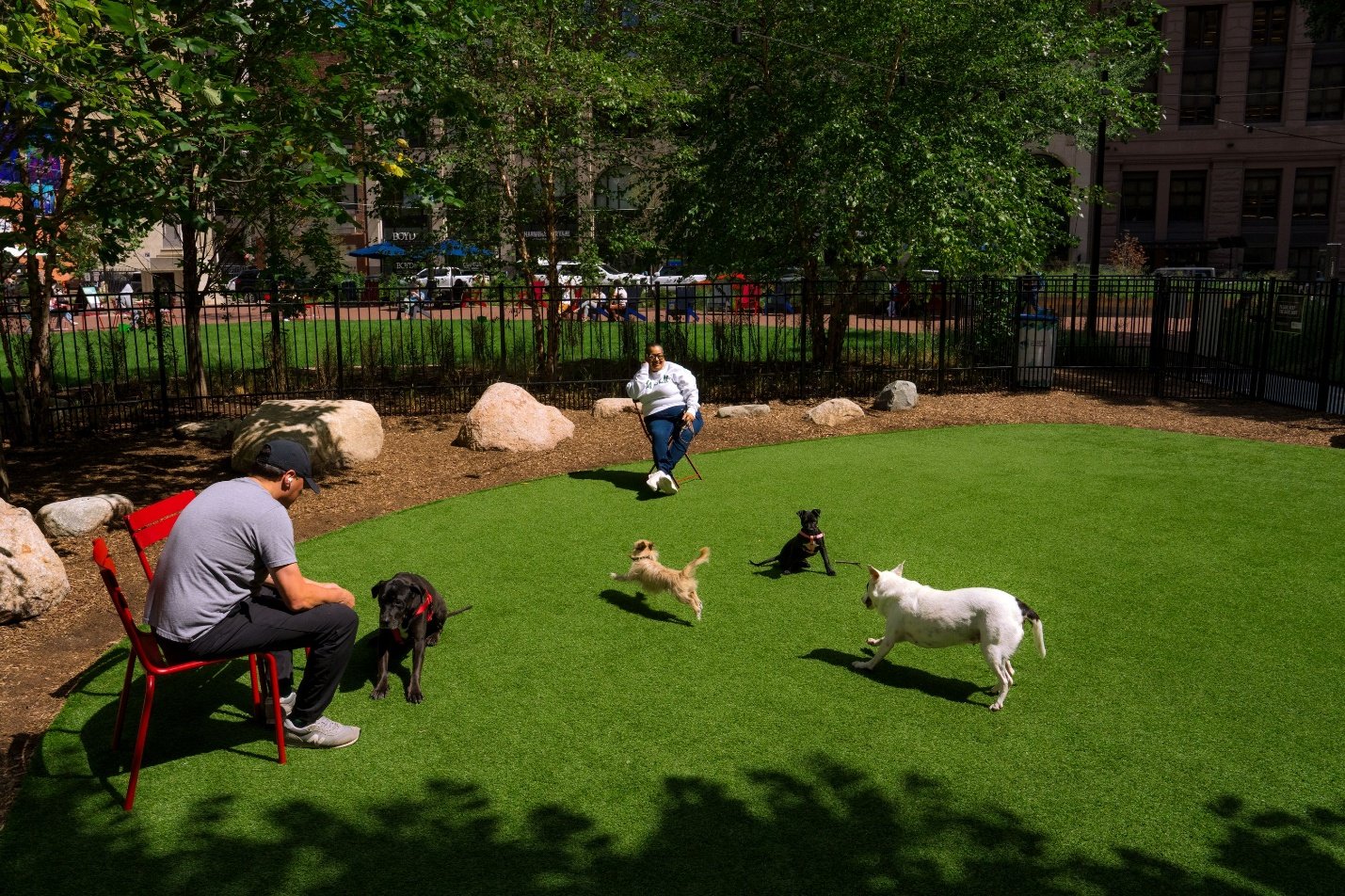 Un grupo de perros jugando en un parque
El contenido generado por IA puede ser incorrecto.